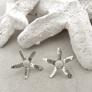 Brinco estrela do mar